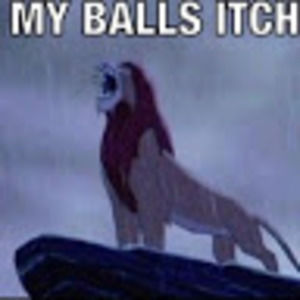 Meet your Posher, Thomas